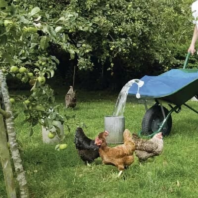 ES29382 ES29382_4.jpg