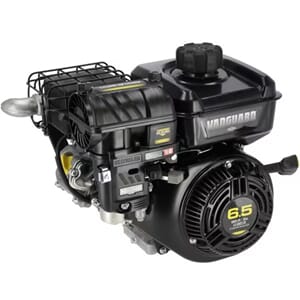 Briggs&Stratton Motor