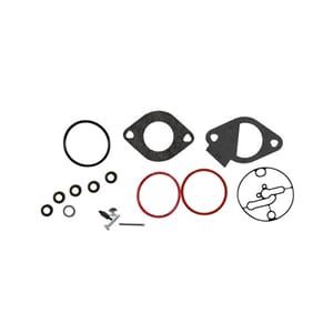Briggs&Stratton Rep set