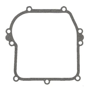 Briggs&Stratton Pakning
