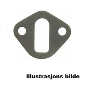 Gasket for feeding pump