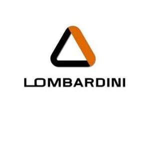 Luftfilter Lombardini LDW