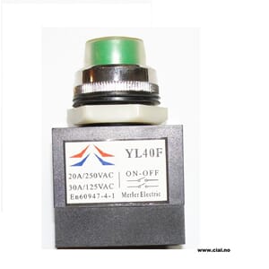 Bryter 12 amp/250V