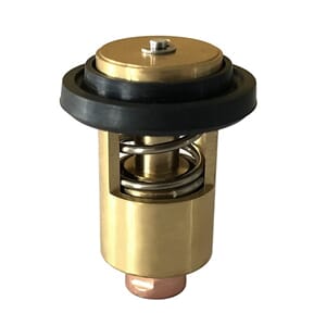 Yanmar Termostat
