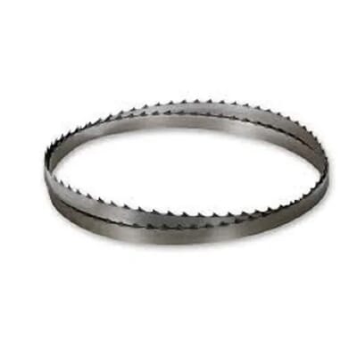 18731004 18731004.jpg